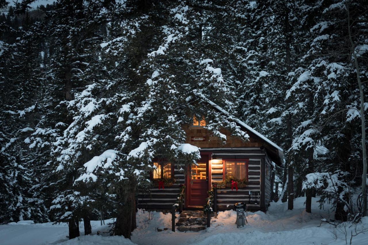 Pioneer Guest Cabins Crested Butte Exterior photo